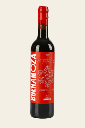BUENAMOZA - TEST