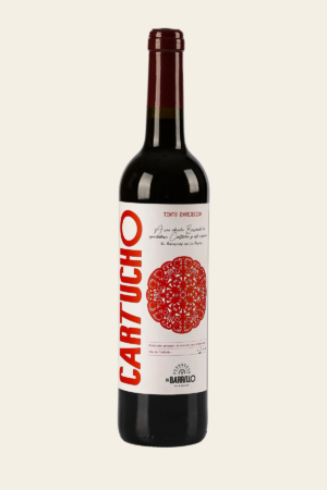 CARTUCHO - TEST